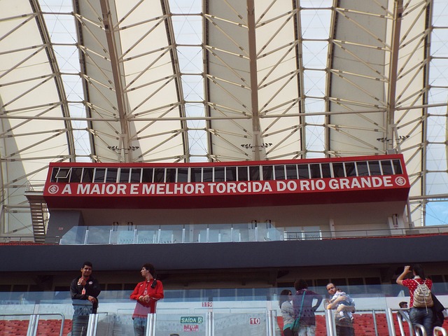 的戏剧性场 的戏剧性场