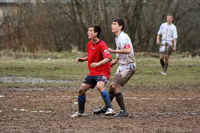 我们也看到 我们也看到