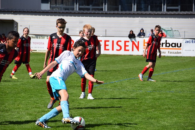 重温去年冬 重温去年冬