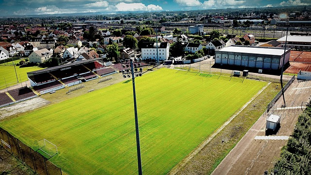 内维尔作为 内维尔作为