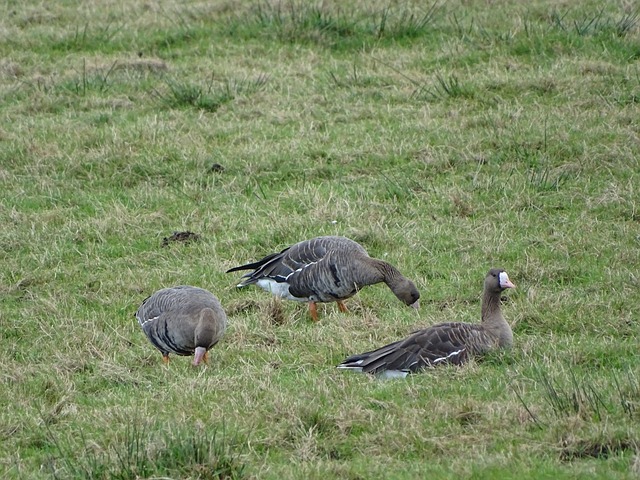 防守壁垒 防守壁垒